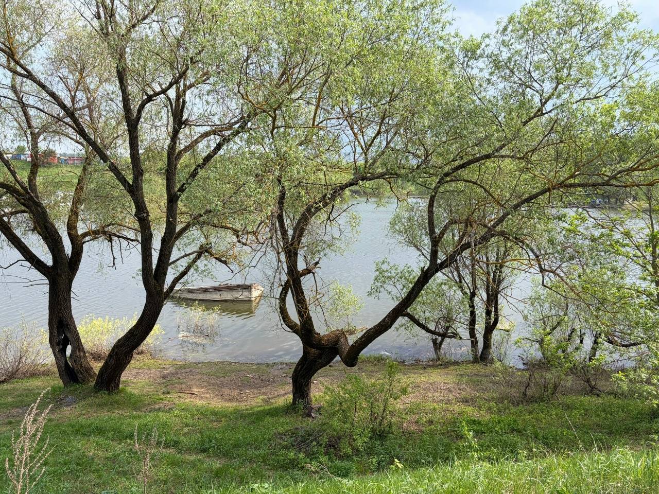 Картинка новости